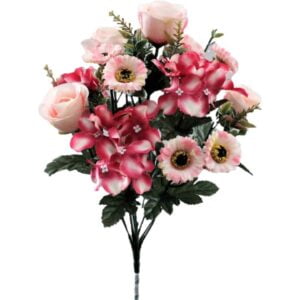 hortenisa fucsia
