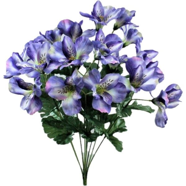 alstromeria lila