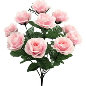 rosa