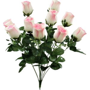 ROSA ROSA