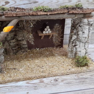 portal belen troncos